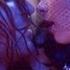 THE HARDKISS In Love Official Video