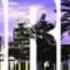 Flo Rida GDFR Ft Sage The Gemini And Lookas Official Video
