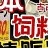 17 Weeks Of Rising Prices Japan S Solution Feed Rice For The People Stellar Talk