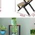 Modern Metal Frame Plant Stand Ideas