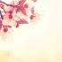 Relaxing Sleep Music Soft Piano Music For Yoga Meditation Sleep And Relaxation 98