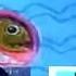 New Zoopals Caught A Cold Reverse
