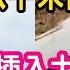 西安航空迷 東航空難 墜毀在兩個山之間的山窩 土質較鬆軟 八千米高空垂直下降 飛機可能已經插入土裡 94年西安空難 我同學是罹難者家屬 事發後整個人都變了 疫情因素導致整航空業士氣很低