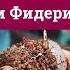 Как ловить на фидер 5 ошибок и 2 совета для начинающих