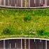 The Hidden Engineering Of Wildlife Crossings
