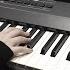 장화 홍련 OST 돌이킬 수 없는 걸음 Piano Cover 피아노 커버 이병우