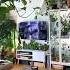 Before After HOUSEPLANT EDITION Houseplants Beforeandafter Transformation Plants Jungle