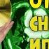 Как отправить СНИМКИ КТ или МРТ доктору