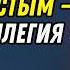 БЫТЬ ХОЛОСТЫМ ЭТО ПРИВИЛЕГИЯ БЕДНЯКИ ДОЛЖНЫ ЭТО УВИДЕТЬ