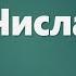 Аудио Библия 0127 Числа Глава 10 LET S QT
