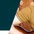 You Re My Heart You Re My Soul Guitar Cover Fingerstyle