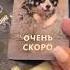 время посмотри ответ