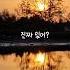 반딧불이 실물영접