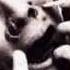SOPOR AETERNUS THE CONQUEROR WORM II
