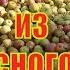 ЯБЛОЧНЫЙ СОК ИЗ ПРЕКРАСНОГО УРОЖАЯ