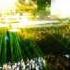 KaZantip Com Feat Florian Peters Deep Moments Part 5 Massive