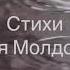 Вся жизнь состоит из контрастов Автор Наталья Молдованова Музыка Анастасия Виноградова