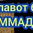 Салавот бар МУХАММАД С А В