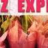 NOWRUZ The Persian New Year A Spring Time Celebration