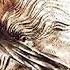 Rotting Christ Out Of Spirits