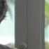 Snow Patrol Called Out In The Dark Greatest Hits Track By Track