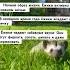 Факты о животные мем книгаживотных жизненныеистории жизнь ежи