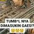 DETIK DETIK TUMBAL PROYEK Shorts Viral Short