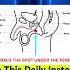 1 Million Views Erectile Dysfunction Try This Ancient Secret Technique For Couples Libido