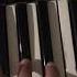 Bongo Cat LETS GO Meme Piano