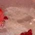 Bubur Pink Masha Tiktok Pattygurlz