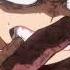 AMV Boku No Hero Academia The Phoenix Fall Out Boy