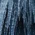 Sub Zero