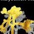 U2 With Or Without You Extended Version HQ HD
