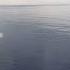 Жизненная песня со смыслом песня море смысл жизнь