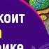 Меня беспокоит выбор цвета в Нейрографике Нейрографика с Татьяной Алпатовой