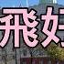 飛了13小時的飛機去歐洲 坐到屁屁痛