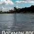 Догиман доги А Турсунов