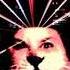 Mainframe Future Generation Universal Mix