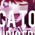 Toca Toca Fly Project Audio Edit