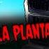 Creepypasta De Plants Vs Zombies La Planta Demoniaca
