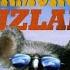 Looking For Shermurad Shermurodni Izlabkomedik Multfilm Golbiddin Tarjimasi460 P 1