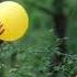 Uriah Heep The Park перевод субтитры