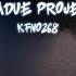 Wamdue Project King Of My Castle Karaoke