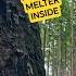 WARNING This Forest Video Will MELT Your Anxiety 4K HDR10