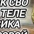 Аудиокнига ПОПАДАНЦЫ В ПРОШЛОЕ ШТУРМОВИК СВО ОЧНУЛСЯ В ТЕЛЕ ШТУРМОВИКА ПЕРВОЙ МИРОВОЙ