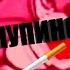 ПРОСТОКВАШИНО 2 RYTP 18 Простоквашино с матом пуп ритп гоблинский перевод переозвучка ПРОСТОПУПИНО