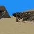 Rocket Launcher Snipe In Gmod