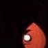 Rare Villain Defeats Evil Leafy
