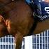 Next Stop Royal Ascot For TRAWLERMAN Following Henry II Win