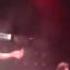 Falling In Reverse Raised By Wolves